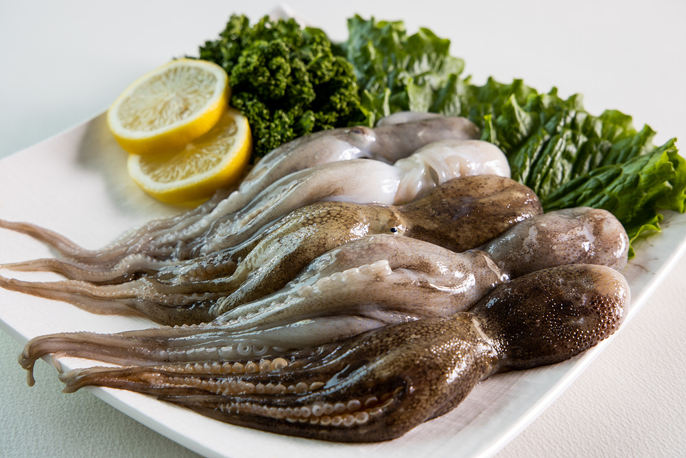 주꾸미 대표이미지